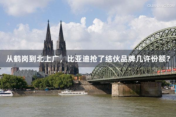 从鹤岗到北上广，比亚迪抢了结伙品牌几许份额？