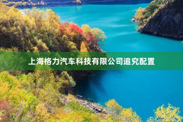 上海格力汽车科技有限公司追究配置