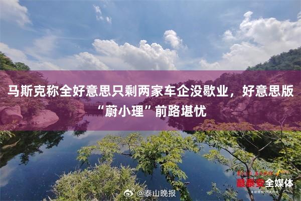 马斯克称全好意思只剩两家车企没歇业，好意思版“蔚小理”前路堪